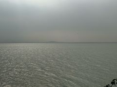 -贡湖湾湿地公园