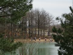 -四明山国家森林公园
