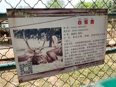 -青藏高原野生动物园