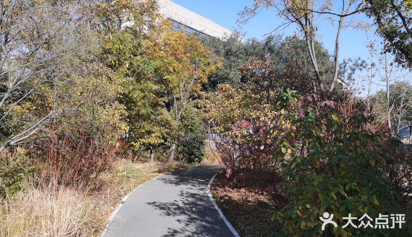 享受不一样的风景，这就是这座公园带给我们的礼物