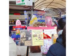 -济州五日民俗市场