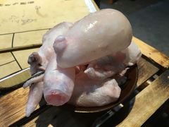 鲜鱼肚-麻大侠老火锅(巴国城店)