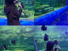 -龙谷湾旅游休闲度假区