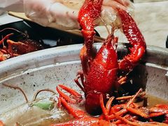 -沪小胖小龙虾(淮海中路旗舰店)