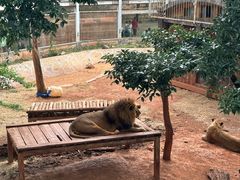 -昆明动物园