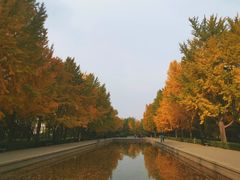 -玲珑塔公园