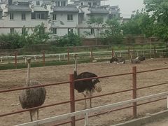 -西安秦岭野生动物园