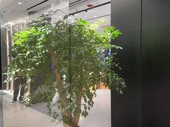 -ARC'TERYX始祖鸟(北京王府中环店)