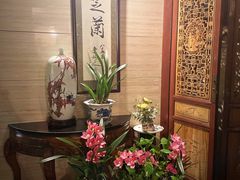 -玉芝兰(长发街店)
