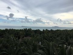 -三亚湾海居铂尔曼度假酒店