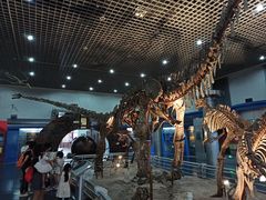 -国家自然博物馆