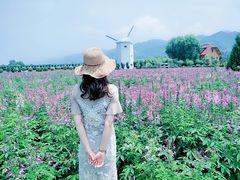 -曲江薰衣草庄园