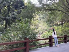 -龙山酒店温泉
