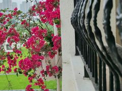 -重庆长寿碧桂园凤悦凤凰酒店