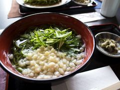 -中村藤吉(本店)