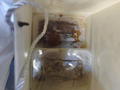 -老号尤兔头(幸福店)