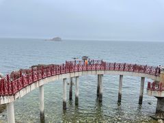 -养马岛旅游度假区