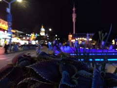 -老虎石海上公园