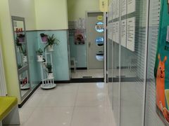 -悦宠凯宝动物医院·牙科·皮肤科(朝阳北路店)