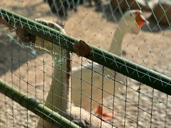 -揭东万竹园旅游景区