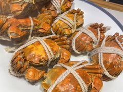 -杨氏青龙虾·羊蝎子(托乐嘉店)