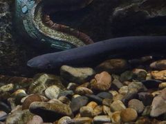 -波塞冬旅游度假区