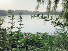 -上海市保健医疗中心(华东疗养院)