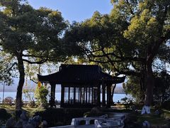 -杭州西湖柳莺里酒店