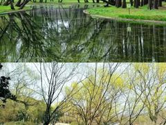 -上海野生动物园