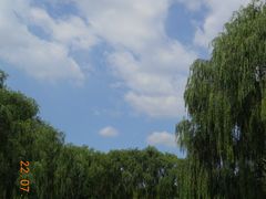 景点-阿尔丁植物园