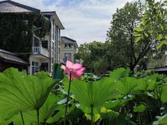 -龚家花园农家乐休闲别墅