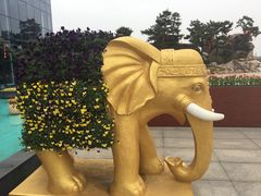 -南通洲际绿博园