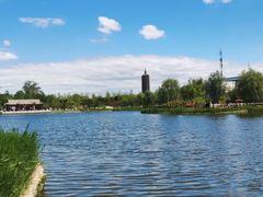 -西海子公园