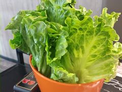 -古乐牛香·鲜牛肉牛杂火锅(五一中路店)