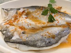 酸辣柠檬鱼-百家班(市府店)