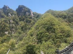 -王顺山国家森林公园