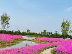 -花开海上生态园