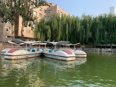 -团结湖公园