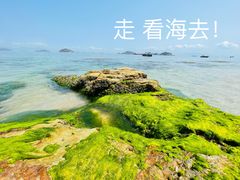 -较场尾