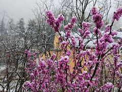 -九华山风景区月身宝殿