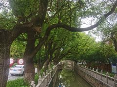 -安亭老街