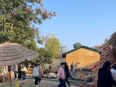 -HERRE·FARM 赫尔露营农场·团建聚会包场