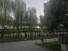 -小白鲨工夫潮膳(曲江店)