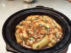 -陈麻婆豆腐总店