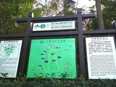 -镇江市南山风景名胜区竹林景区