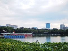-莲花池公园