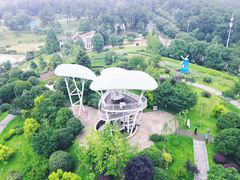 -铁山坪森林公园