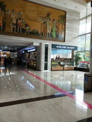 -厦门市妇幼保健院(总院区)