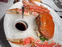 -Oyster Talks 四度蚝法餐厅