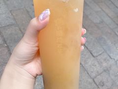 -猫的魔法密林(衣裳街店)